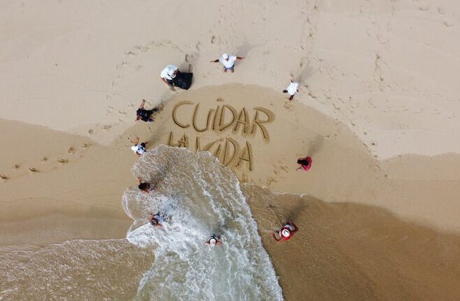Las plantas de interior más fáciles de cuidar todo el año
