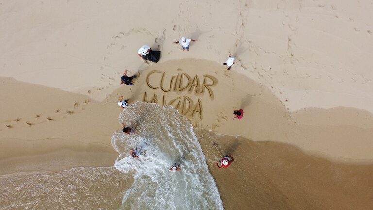 Las plantas de interior más fáciles de cuidar todo el año